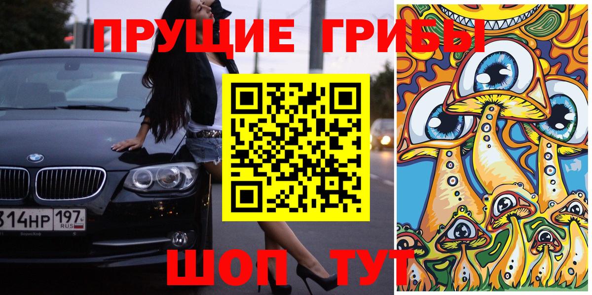 Псилоцибиновые грибы GOLDEN TEACHER Воскресенск